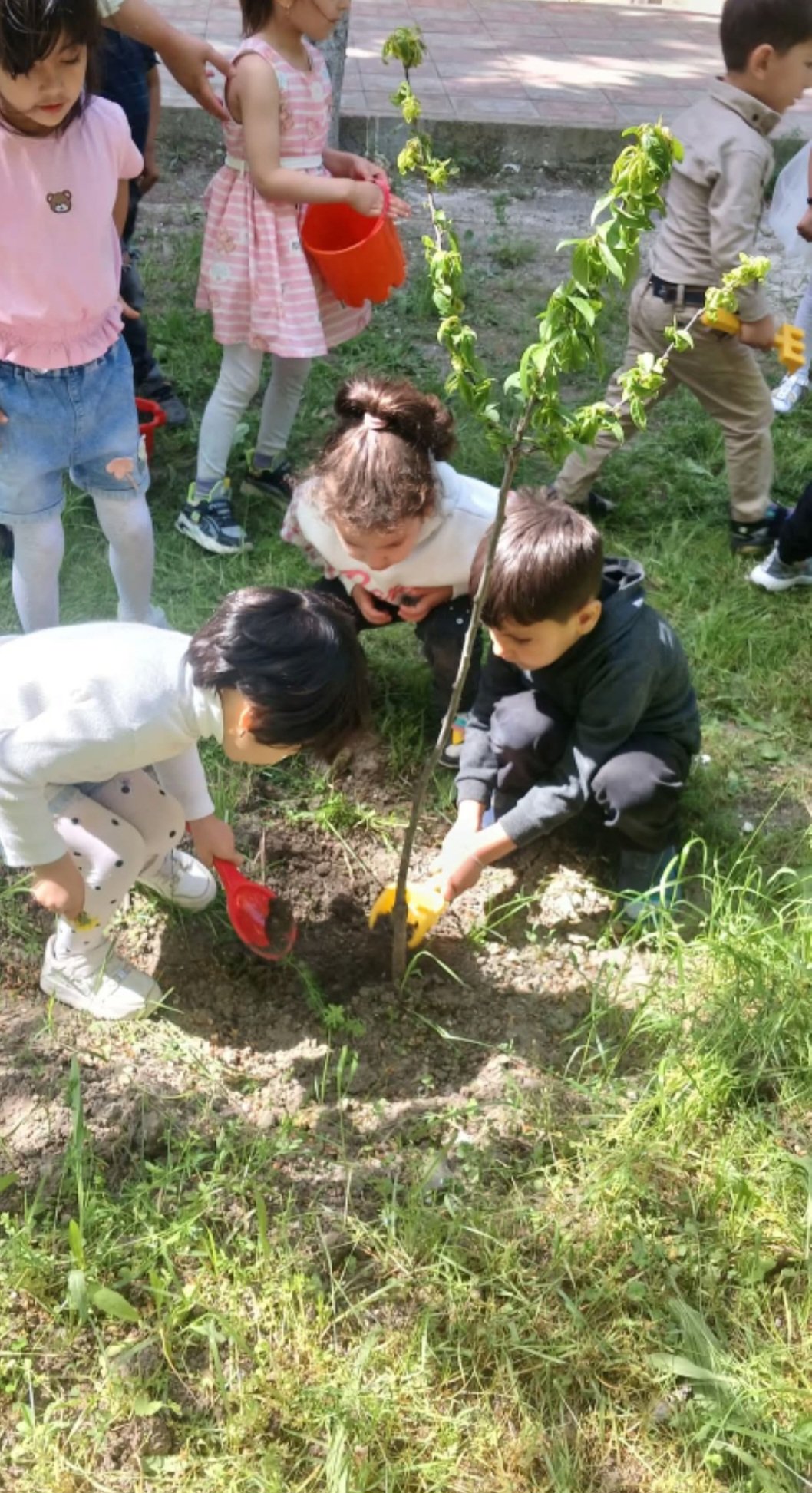 Nərgiz bağırova  və Tərtər rayon Bayandur kənd  körpələr evi - uşaq bağçası: Tərbiyə və Təhsildə Fərqlənən İstiqamət